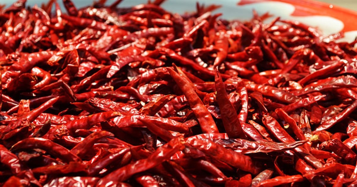 Indian red chilli on high demand in China and Bangladesh