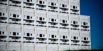 Reefer container freight rates to outpace dry box pricing: Drewry
