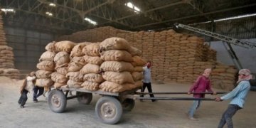 DGFT removes minimum export price on non-basmati