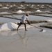 Salt industry crisis in Pakistan