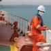 Shares of Indian seafarers in global demand set to rise to 20pc in 10 yrs: expert