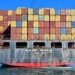 SeaLead opens more India-centric connections amid growth expectations
