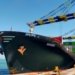 SeaLead Shipping, SLPA launch new weekly direct liner service