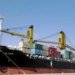 SCI privatisation in limbo