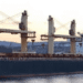 Transworld Holdings Limited’s intention to voluntarily delist Shreyas Shipping & Logistics Limited