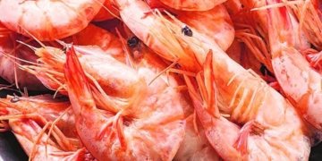 Shrimp exporters worried as uncertainty in trade with China continues