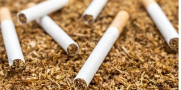 Andhra Pradesh exports tobacco to US