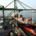 V. O. Chidambaranar Port creates new record in single-day handling