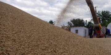 Insurers look for a safe passage for covering ships carrying Ukraine’s grains