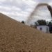 Insurers look for a safe passage for covering ships carrying Ukraine’s grains