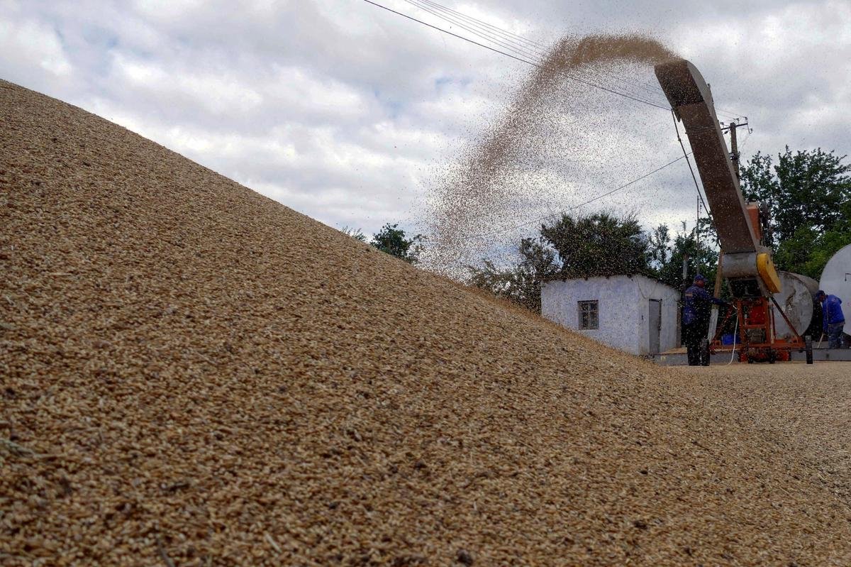 Bangladesh trade bodies push government to extend Black Sea grain deal