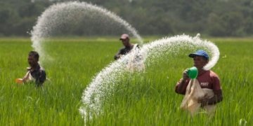 Three fertilizer firms to import potash from Canada
