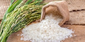 India to export 75000 tonnes of rice to UAE
