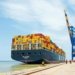 Kerala govt mulls Singapore-model business hub around Vizhinjam Port