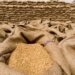 Canada offers to send ships to European ports for exporting Ukraine’s wheat