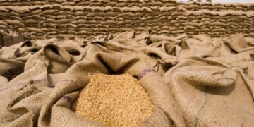 India plans to triple wheat exports