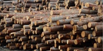Wood imports: variety is the spice