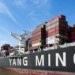 Yang Ming is the new Silk Alliance member