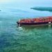 ZIM charters more LNG-powered containerships