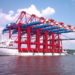 Chinese cranes for Vizhinjam seaport