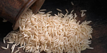 Red Sea, Hormuz Crisis Disrupts India’s Basmati Rice Trade, Nearly 0.5 Million Tonnes Stuck at Ports