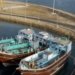 India formally establishes shipping link to Chabahar