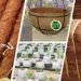 India Records all time high Export of Coir and Coir Products
