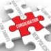 THE YEAR OF CONSOLIDATION