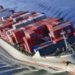 Jiangsu Port Group sets up shipping division