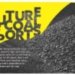 FUTURE OF COAL IMPORTS