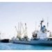 Cuddalore Port project makes headway