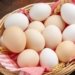 Egg shortage in Russia, Tamil Nadu may step in to export