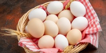 Debut consignment of eggs exported through Benapole