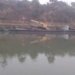 Govt to make interlinking of rivers a reality: Gadkari