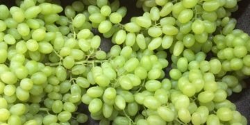 Indian table grape export may drop by 45%