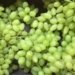 Grape exports down