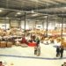 DTDC in the driver’s seat