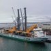 Around the world with 80 cranes