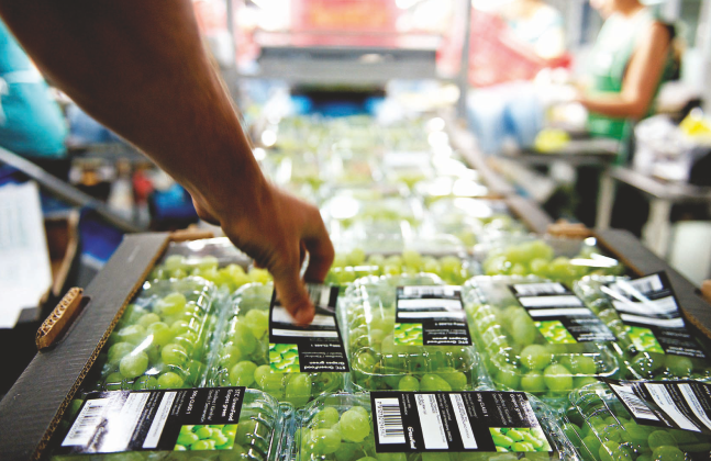 LOGISTICS WOES OF GRAPE EXPORTERS