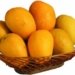Bangladesh plans to ship mango to Japan, EU from 2023