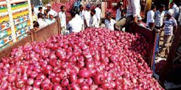 Govt allows exports of specified quantity of white onion via three ports