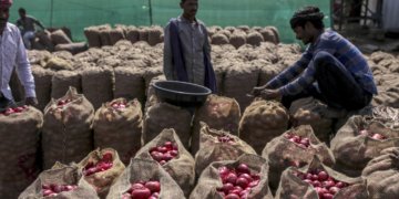 Nafed floats bids for supply of 15,000 tonnes of imported red onions by Nov 20