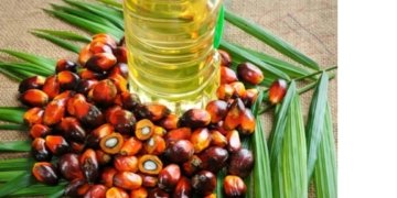 Nepal’s refiners struggle as India stops refined palm oil imports