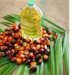 Nepal’s refiners struggle as India stops refined palm oil imports