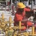 24 international firms including India express to sell petroleum products in Sri Lanka