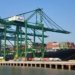 PSA BHARAT MUMBAI CONTAINER TERMINALS STARTS SECOND REGULAR SERVICE WITH HAPAG-LLOYD VESSEL CALL