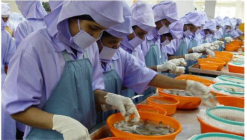 India’s seafood exports pegged at 12,89,651 MT in FY 2019-20