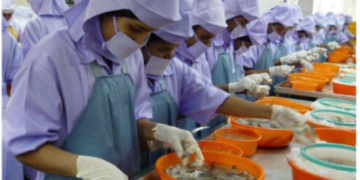 Huge surge in frozen shrimp exports to China