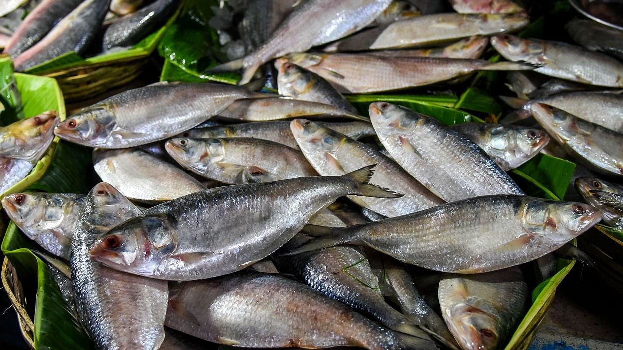 Container shortage may spoil Christmas, New Year cheer for exporters of seafood, coir products
