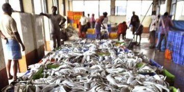 Andhra Pradesh is confident of increasing seafood exports